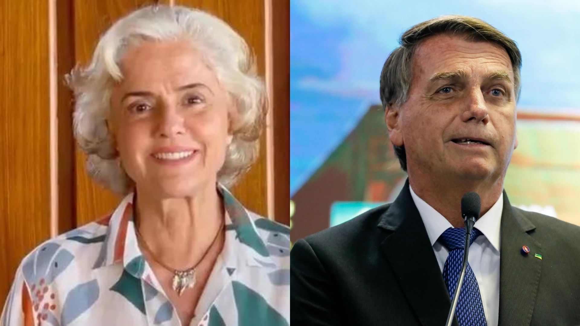 Marieta Severo publica um "Fora Bolsoanaro" em post no Twitter