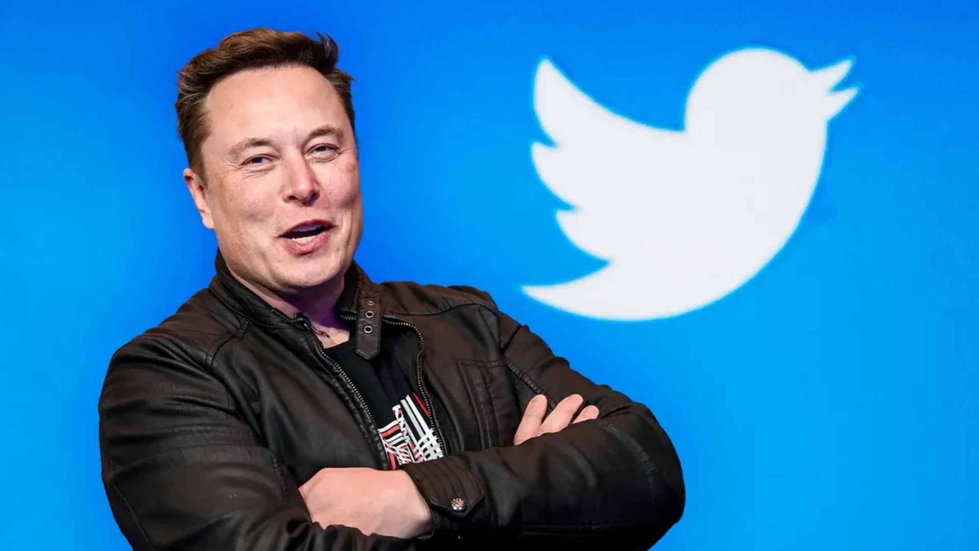 Elon Musk e o logo do Twitter