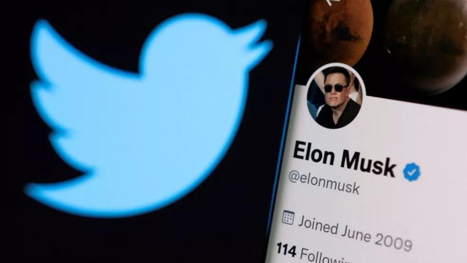 Foto de logo do Twitter ao lado do perfil de Elon Musk na rede social.