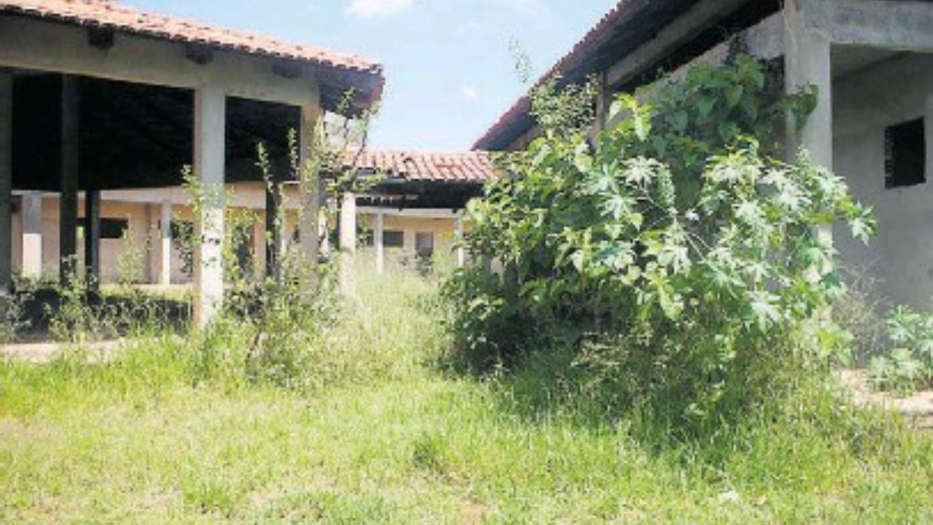 governo não conclui obras. foto de escolas com matagal.