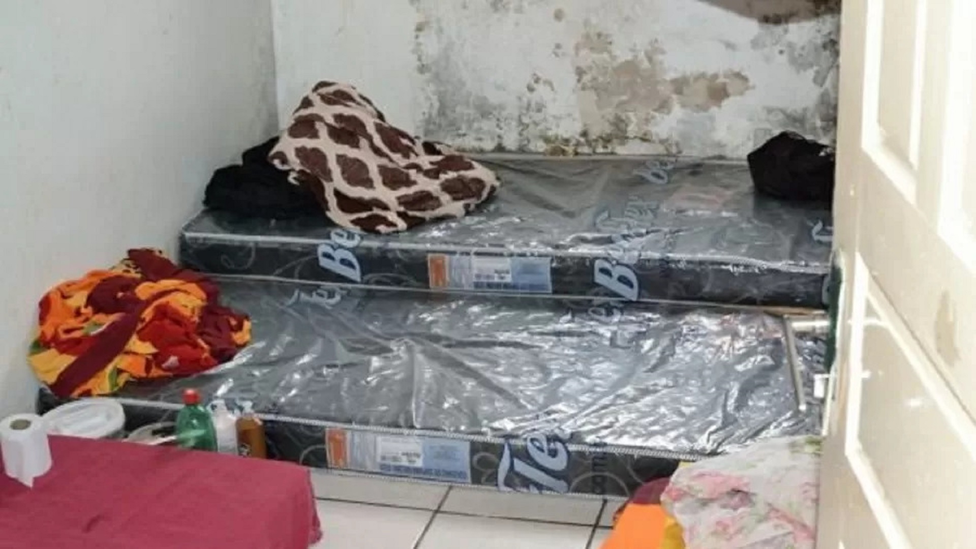 MPT resgata 49 pessoas escravizadas