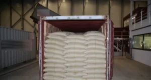 500 kg
