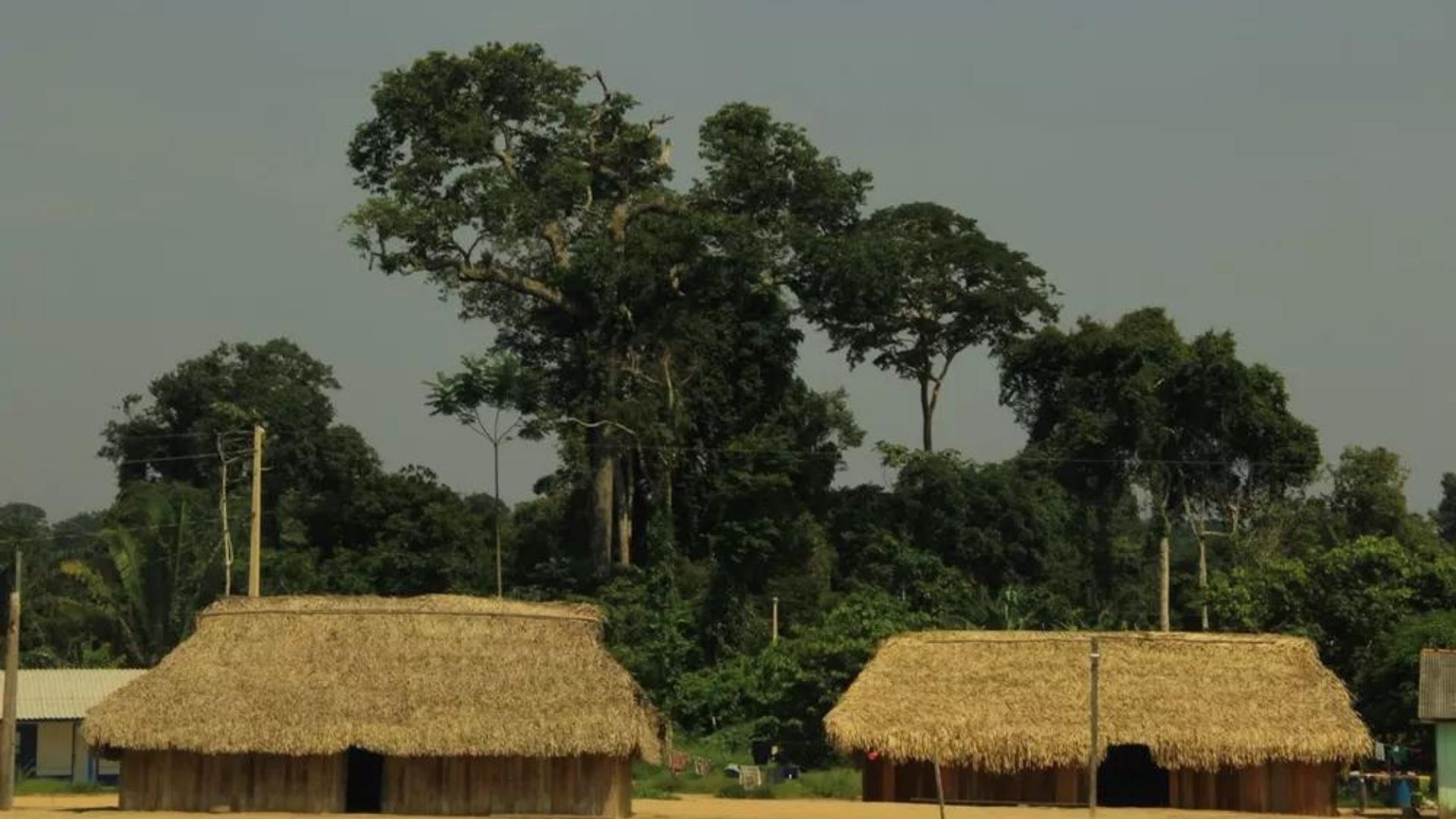 Foto da aldeia indígena Kayapó, localizada no município de Altamira. As casas são rodeadas pela mata.