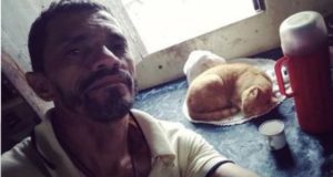 Gato Januário, famoso nas redes sociais, morreu na última sexta-feira