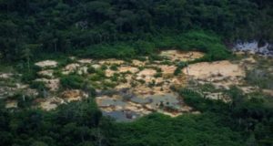Yanomamis encontrados foram coagidos por garimpeiros