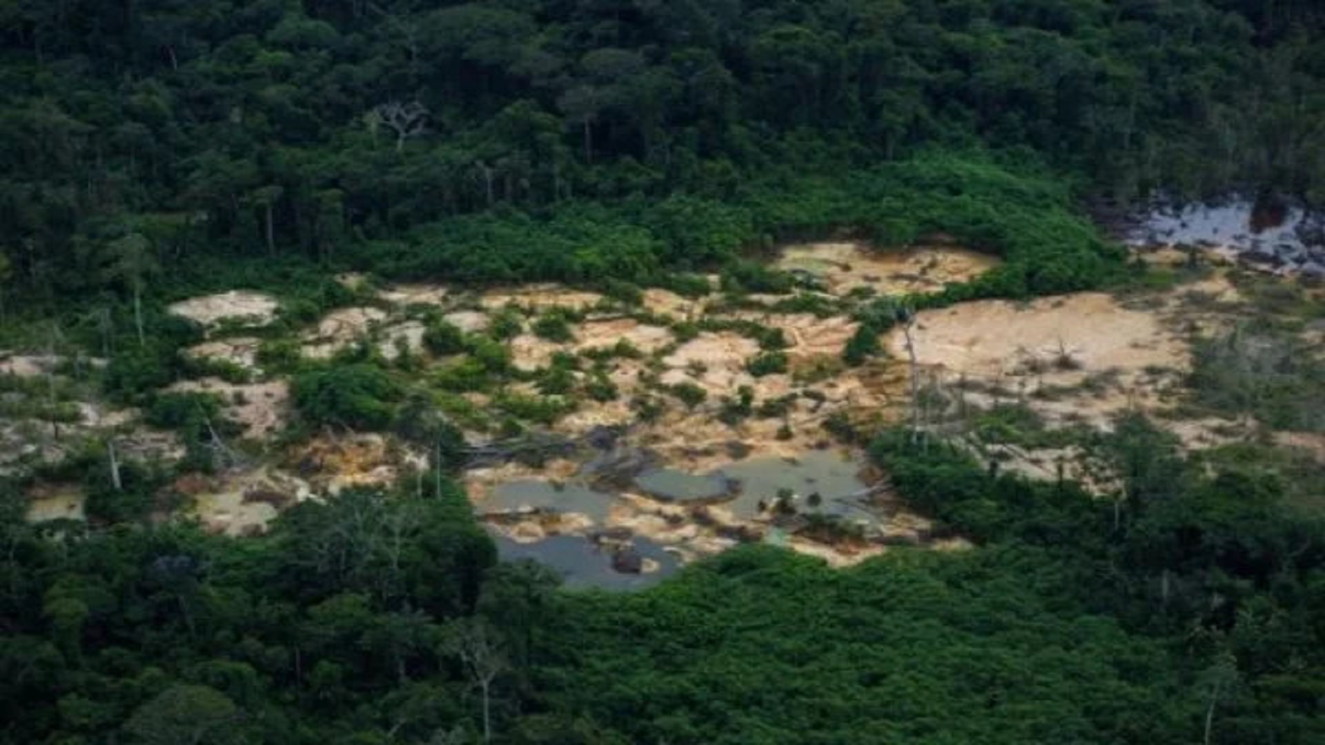 Yanomamis encontrados foram coagidos por garimpeiros