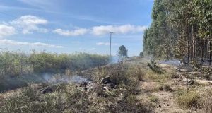 Acidente com avião mata três pessoas no interior de SP