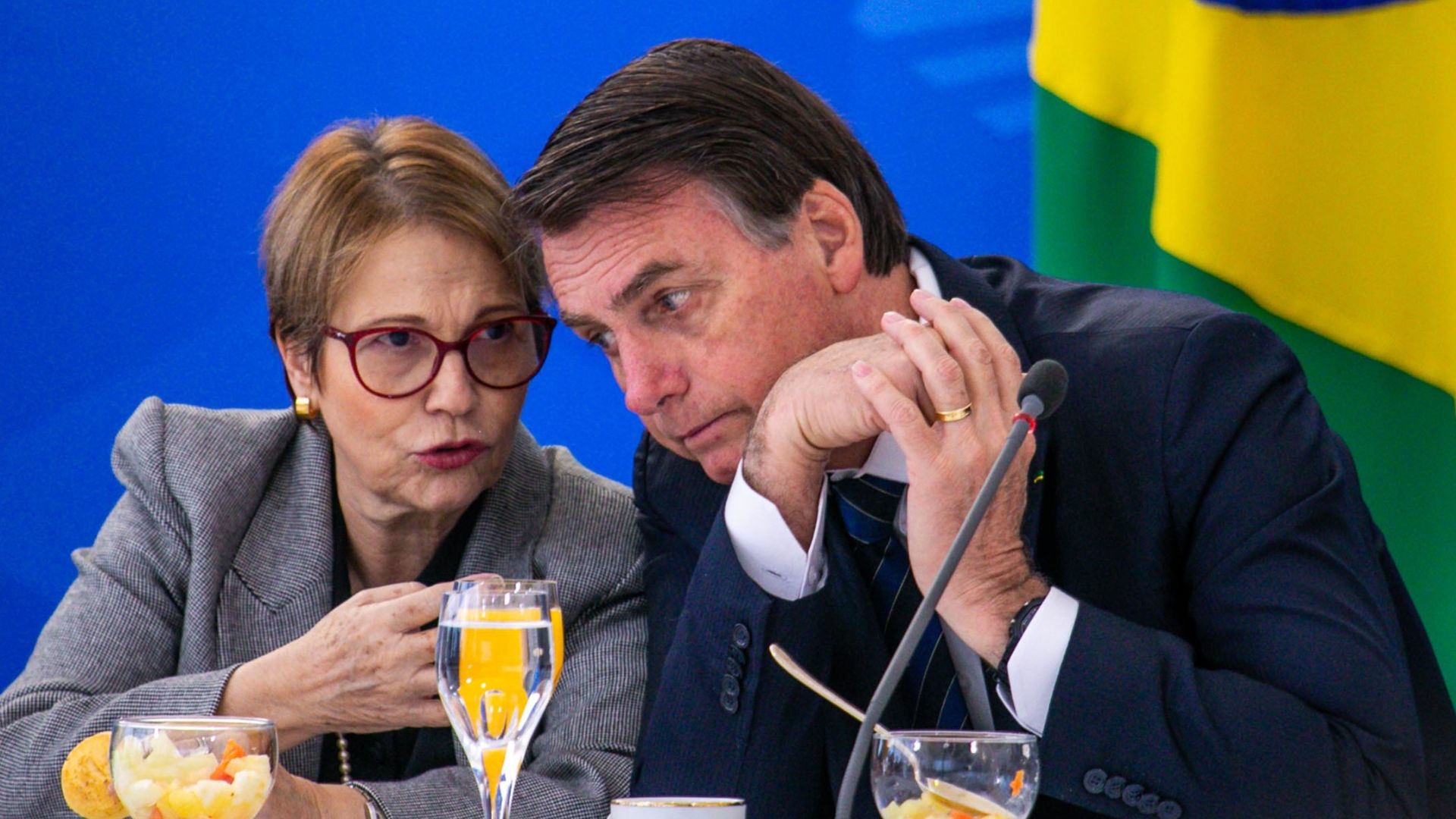 Ainda na dúvida sobre Tereza Cristina, Bolsonaro ver outras possibilidades para vice mulher