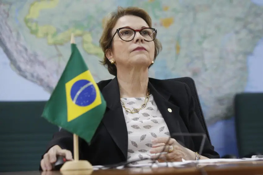 Tereza Cristina