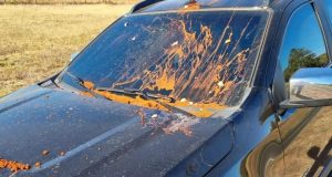 Carro de Renato Borelli, juiz que mandou prender Milton Ribeiro é atacado