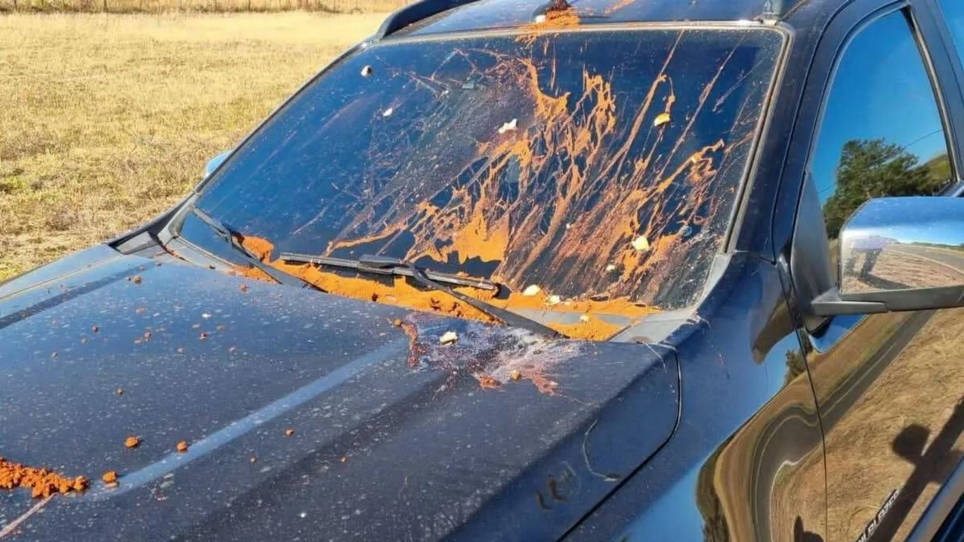 Carro de Renato Borelli, juiz que mandou prender Milton Ribeiro é atacado