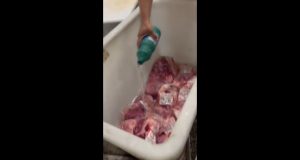 Funcionarios jogam cloro em carne apos denuncia