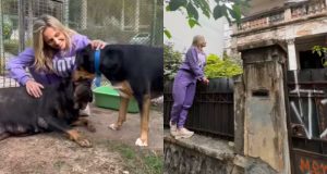 Luisa Mell agachada de roupa lilás fazendo carinho em cães e ao lado em cima do muro da "casa abandonada"