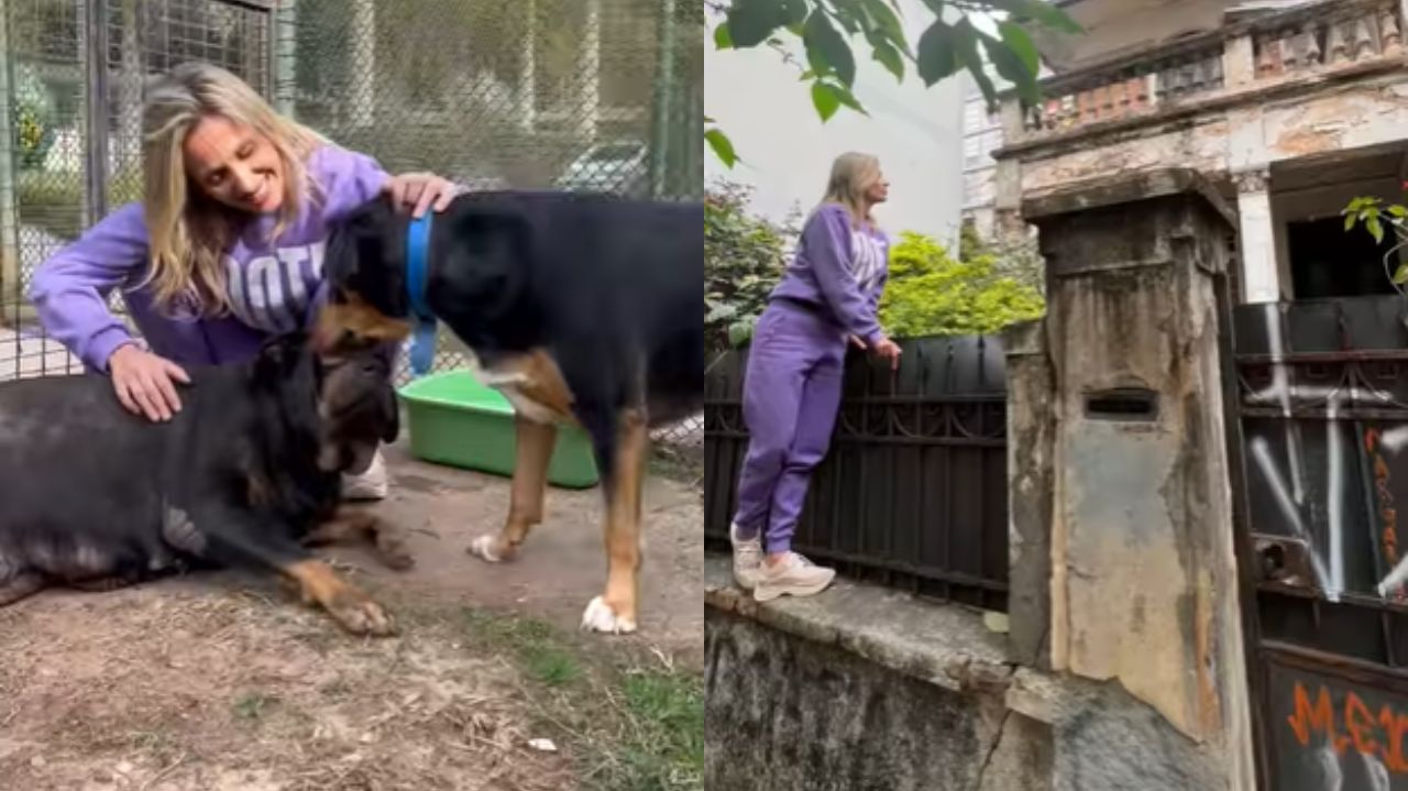 Luisa Mell agachada de roupa lilás fazendo carinho em cães e ao lado em cima do muro da "casa abandonada"