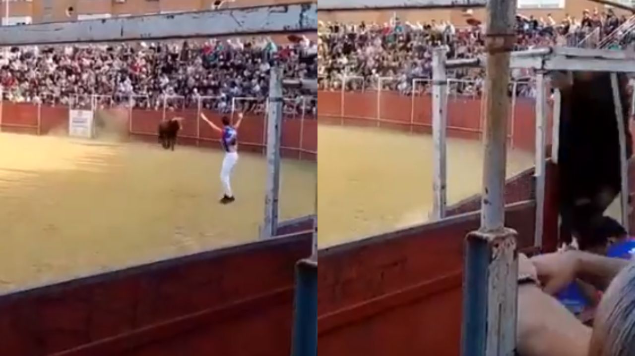 Montagem de prints de vídeo de tourada na Espanha