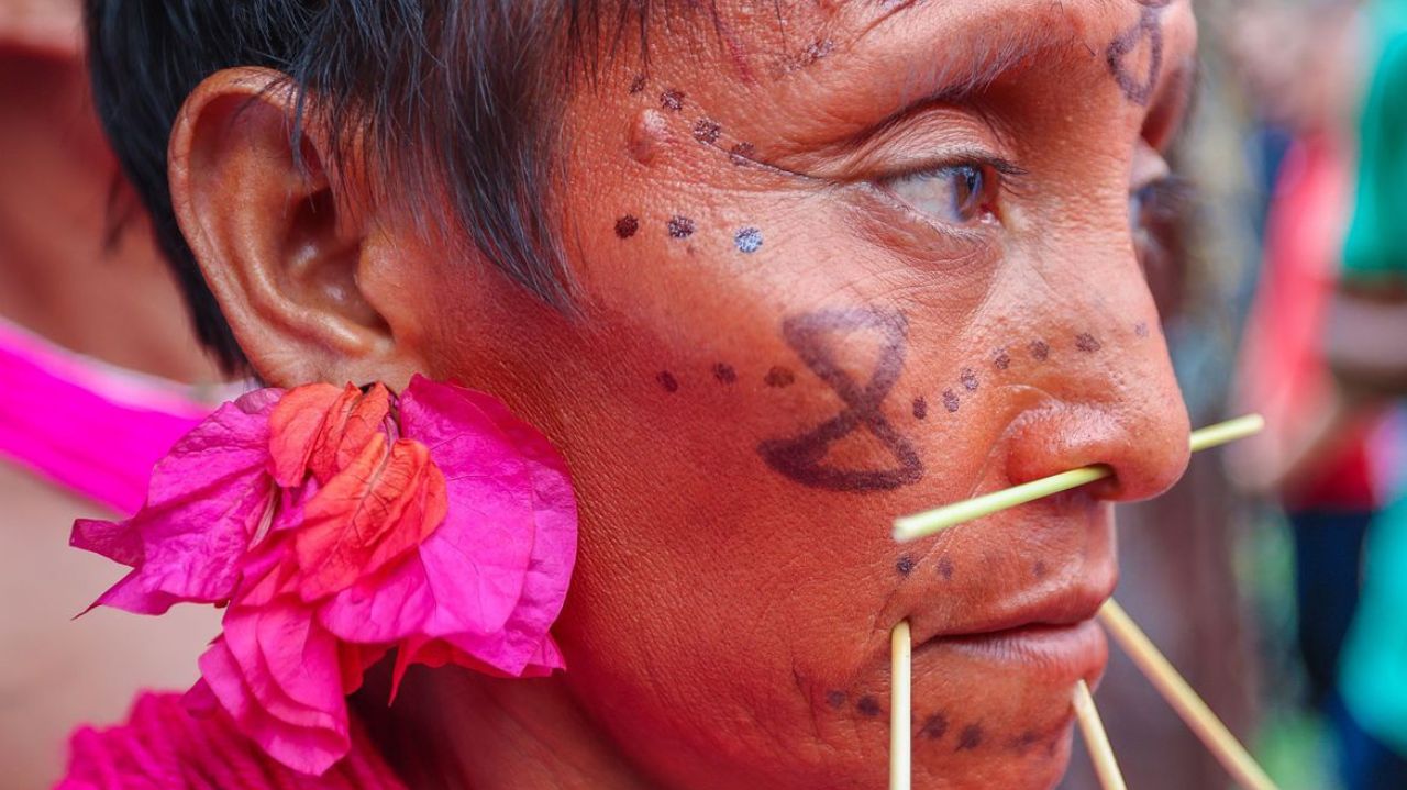 Indígena Yanomami de perfil, com pinturas pretas e flor cor de rosa
