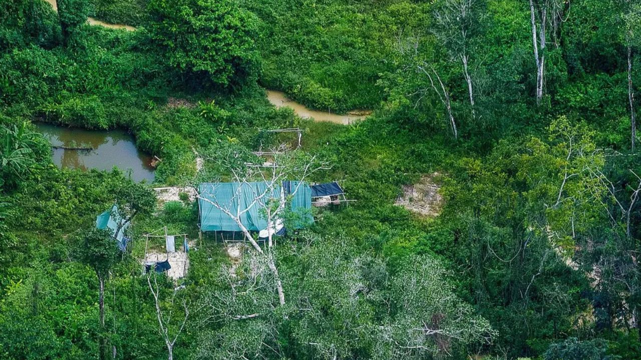 Garimpo ameaça indígenas isolados em área Yanomami — Foto: Leo Otero/Ministério dos Povos indígenas