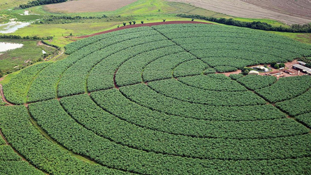 Plantação de soja vista do alto
