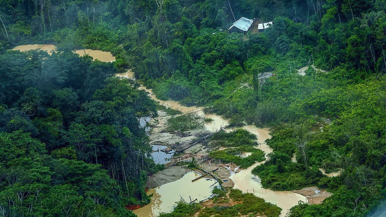 Terra Yanomami vista de cima