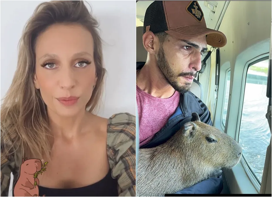 O que se sabe sobre o caso da capivara 'Filó', criada por