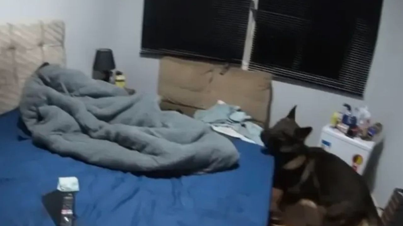 Quarto de estudante de psicologia que foi preso, ambiente bagunçado