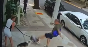 Registro de agressão a Caroline Zanin e seus cães