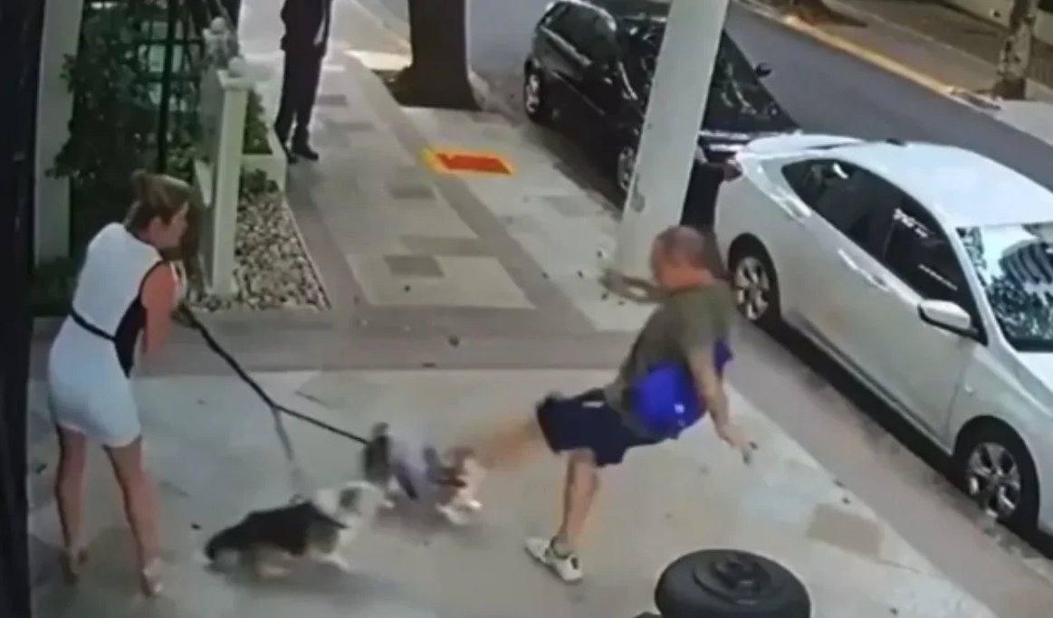 Registro de agressão a Caroline Zanin e seus cães