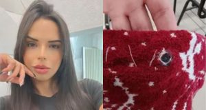 Montagem de fotos de Nadine Novello e microcâmera