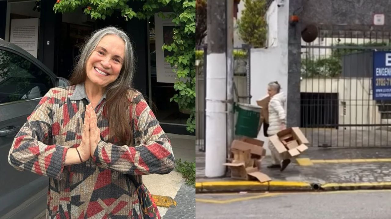Montagem de fotos de Regina Duarte posando e sorrindo e com papelão na rua