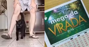 Montagem de fotos de gato Milu fazendo previsões e papel da Mega da Virada