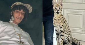 Montagem de fotos de Oruam e seu gato
