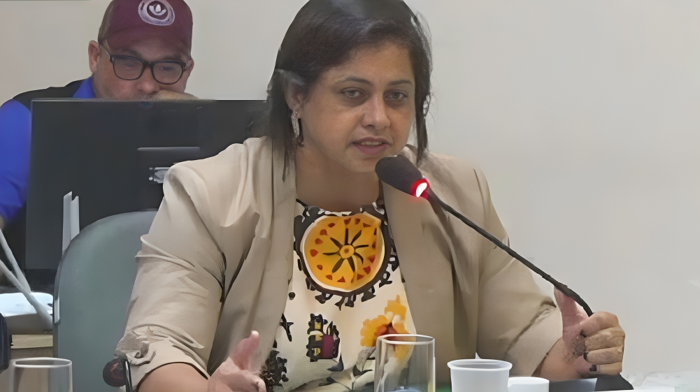 Kátia Regina Novak de Moura falando