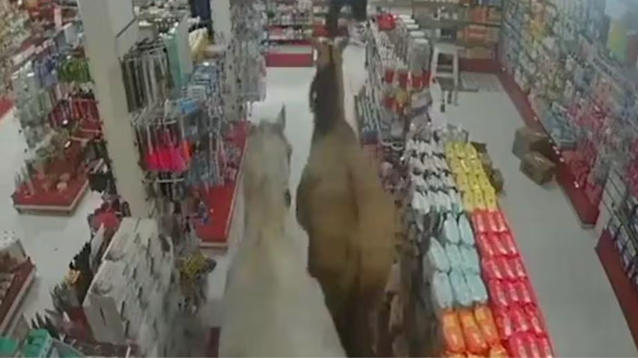 Cavalos entrando em farmácia