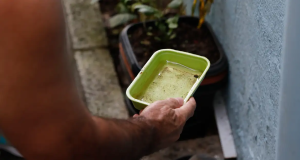 Mão segurando vasilha verde com água perto de plantas