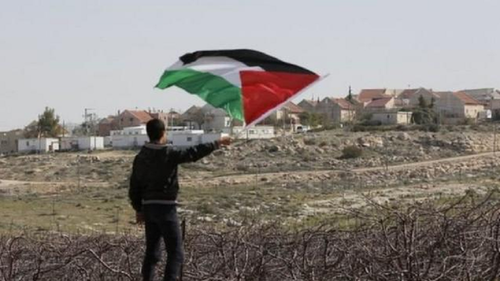 Garoto de costas com bandeira da Palestina