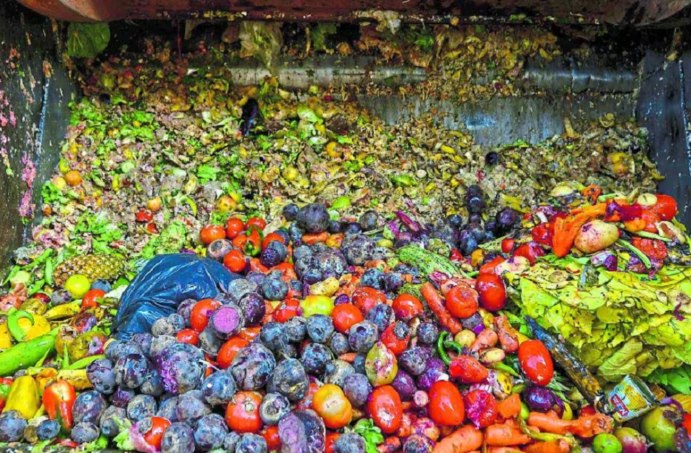 Alimentos misturados no lixo