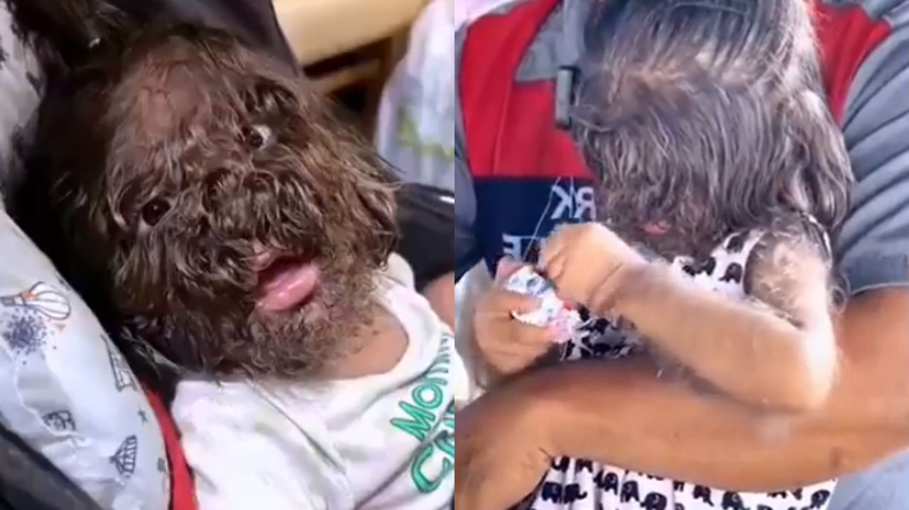 Montagem de fotos de Adik Missclyen