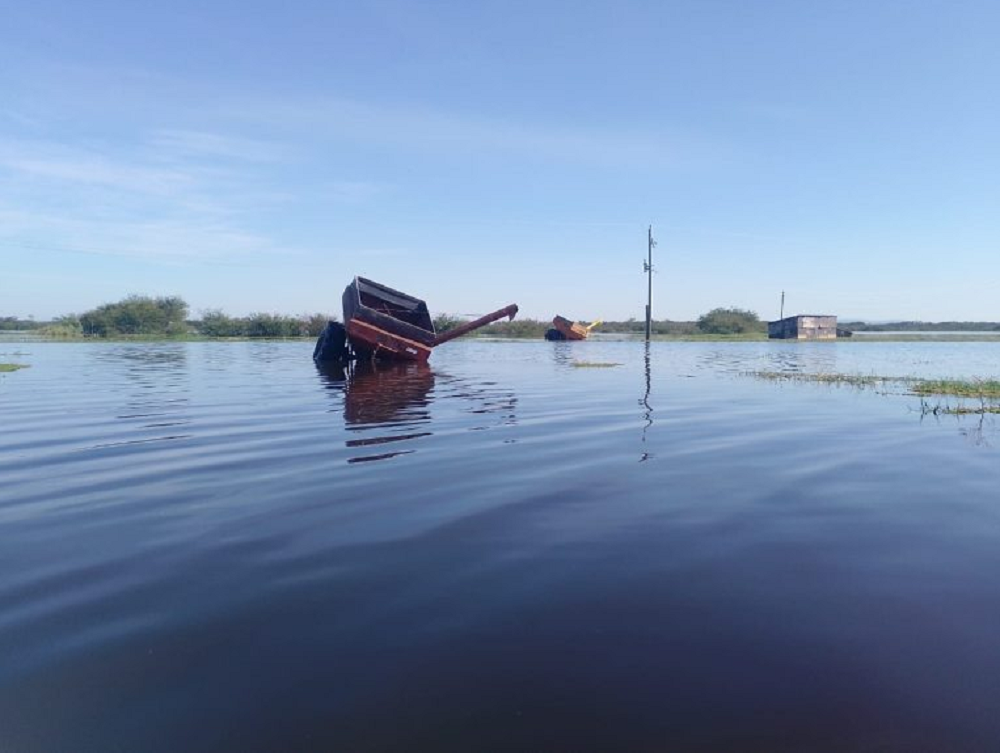 Plantação de arroz agroecológico inundada em Viamão. MST estima perda de 200 mil sacas com as enchentes, ou cerca de 10 mil toneladas. Foto: MST-RS