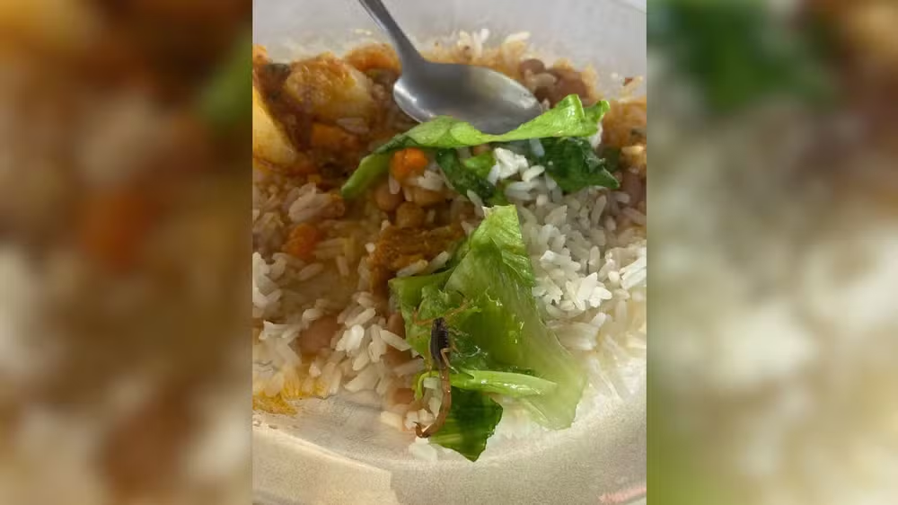 Escorpião em prato de comida