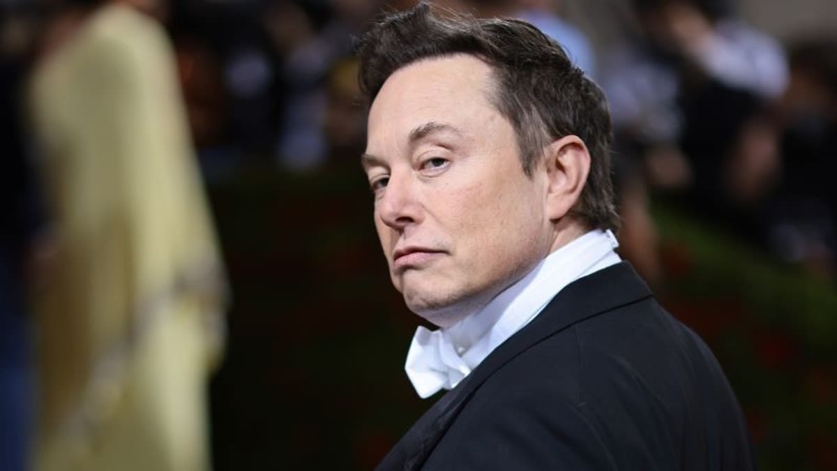 Elon Musk olhando para trás com expressão soberba