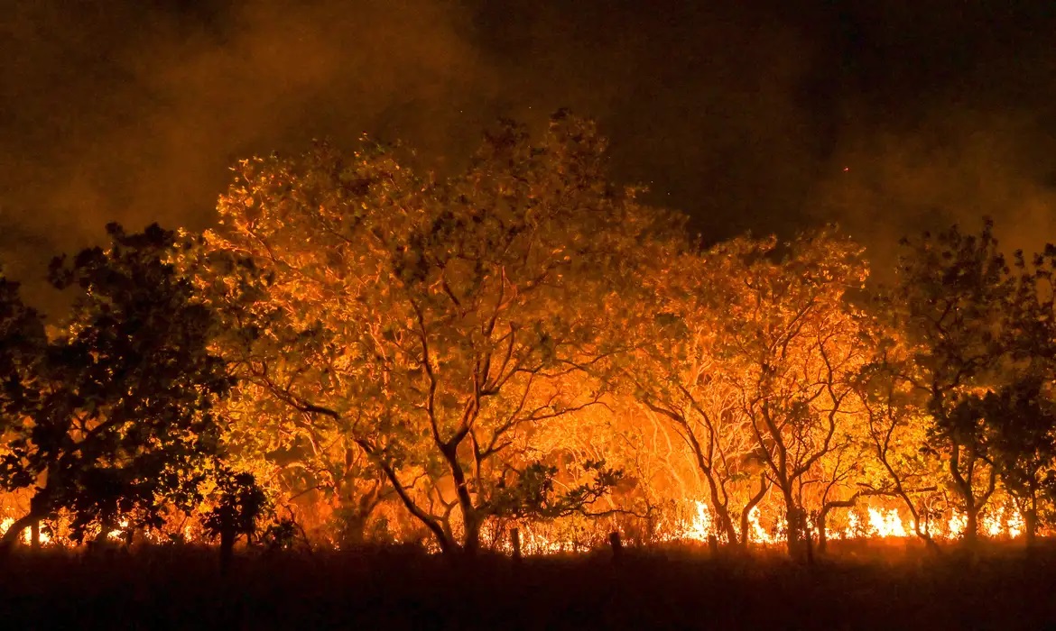 Incêndio na Amazônia