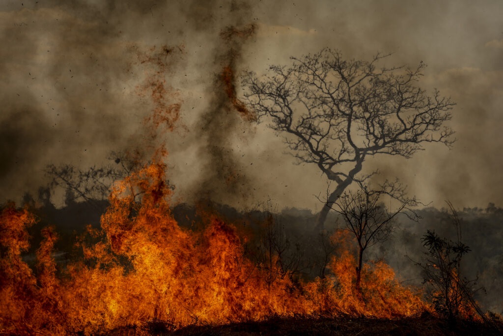 Área de floresta pegando fogo