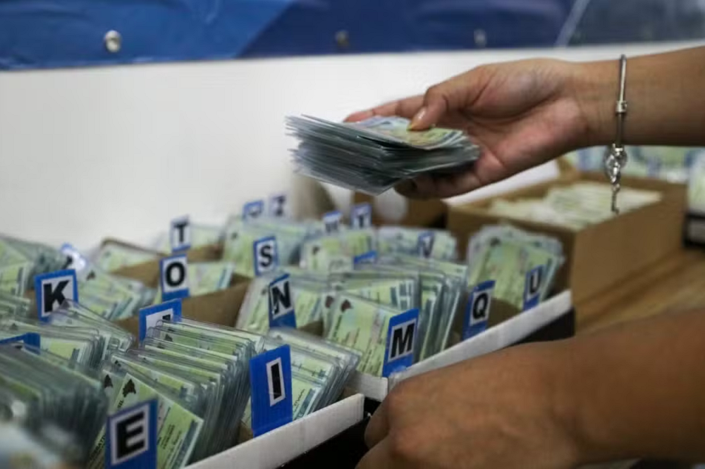 Vários RGs organizados em caixas com letras