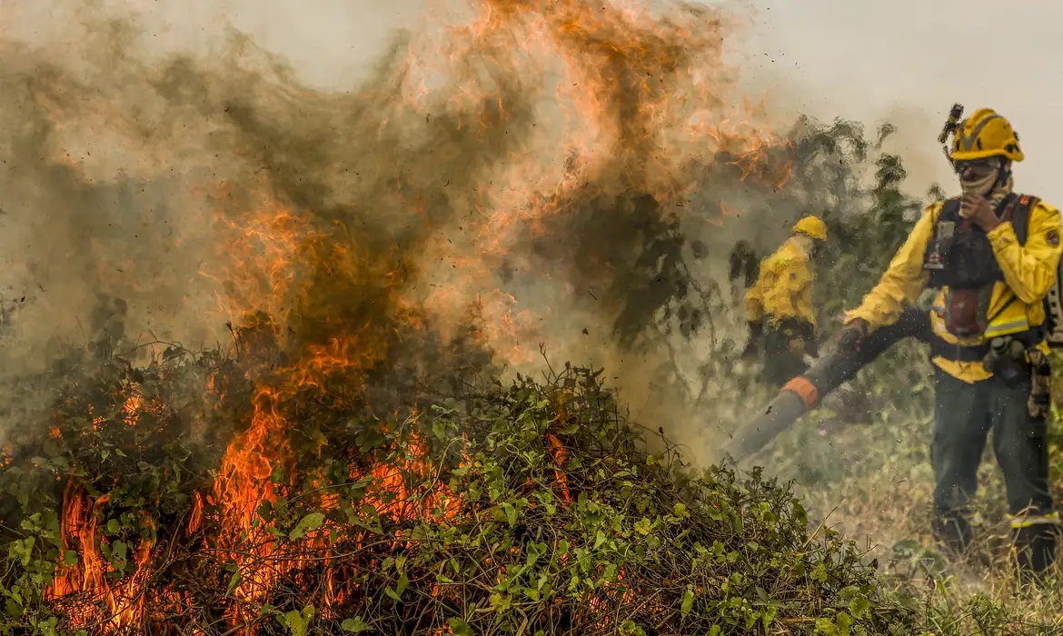 Fogo consumiu hectares no Pantanal, bombeiros atuando