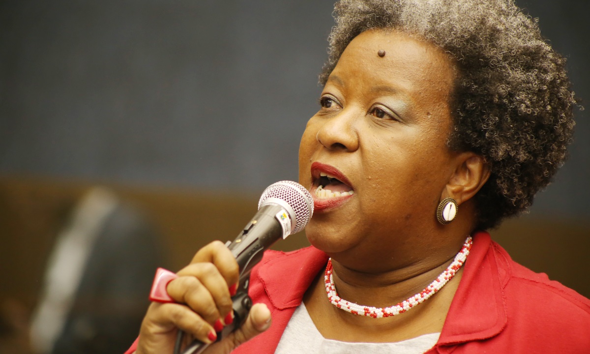 Macaé Evaristo (PT-MG), nova ministra dos Direitos Humanos, de roupa vermelha, de perfil, falando em microfone, séria