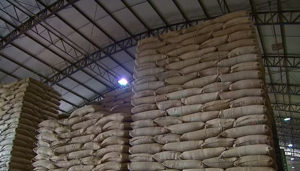 Sacas de café empilhadas em galpão