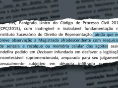 Trecho de petição marcado em azul