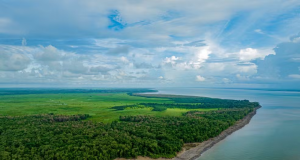 Estação Ecológica de Maracá-Jipioca, uma das reservas na costa do Amapá