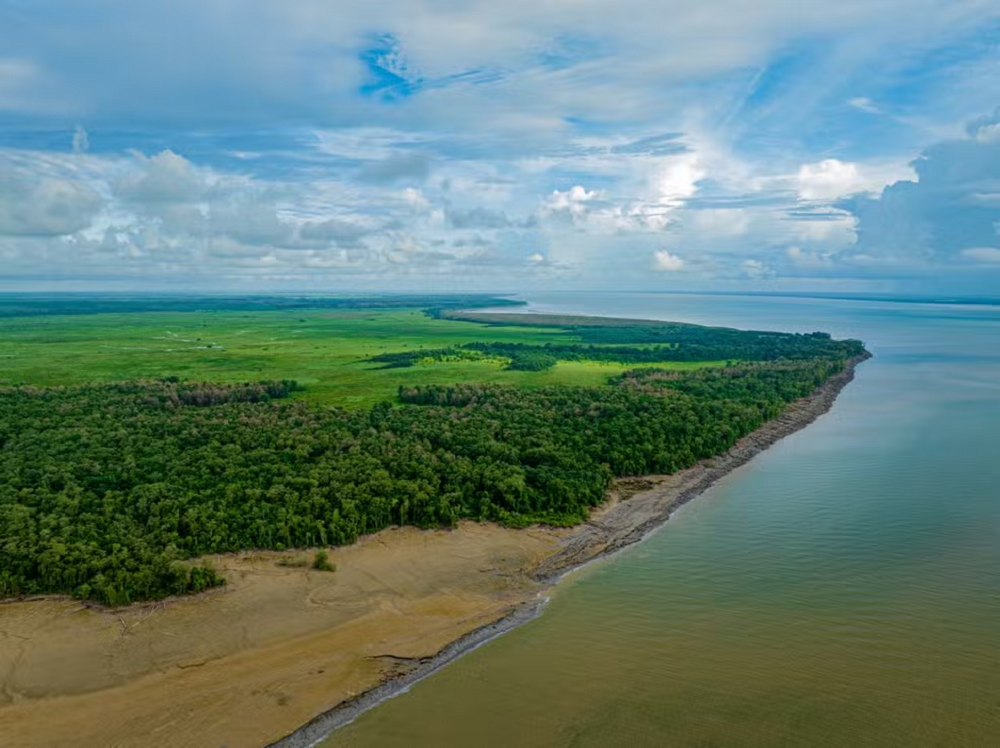 Estação Ecológica de Maracá-Jipioca, uma das reservas na costa do Amapá