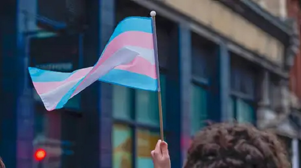 Mão segurando bandeira trans